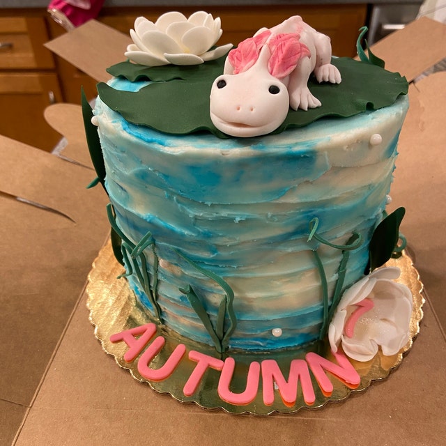 My wife made an Axolotl cake for our son's birthday! Very proud of her :  r/cakedecorating