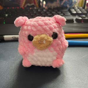 Kitta added a photo of their purchase