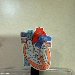 Amy ha añadido una foto de su compra