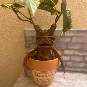 Allison added a photo of their purchase