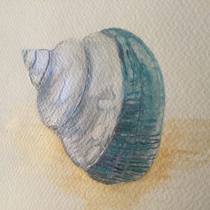 Sally heeft een foto van de aankoop toegevoegd