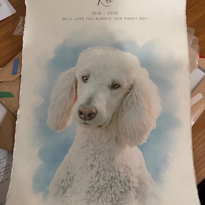 Catalina added a photo of their purchase