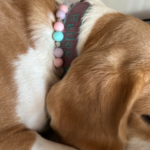 Eva added a photo of their purchase