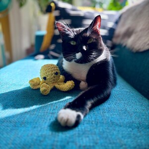Dave a ajouté une photo de son achat