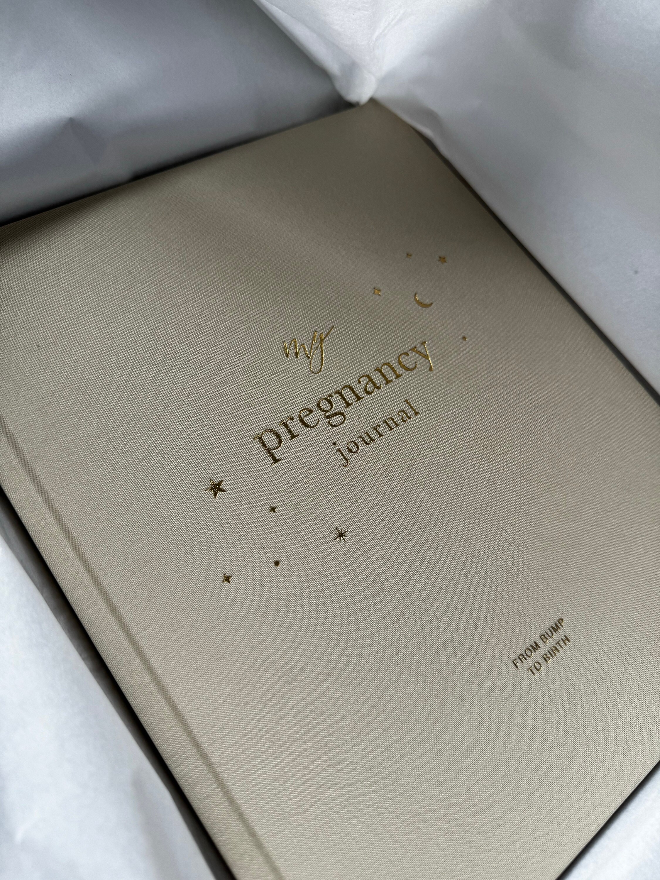 My Pregnancy Journal, Expectant Mother Gift, Pregnancy Planner - Pearl - gift for parents to be, pregnancy record book w/gilded edges