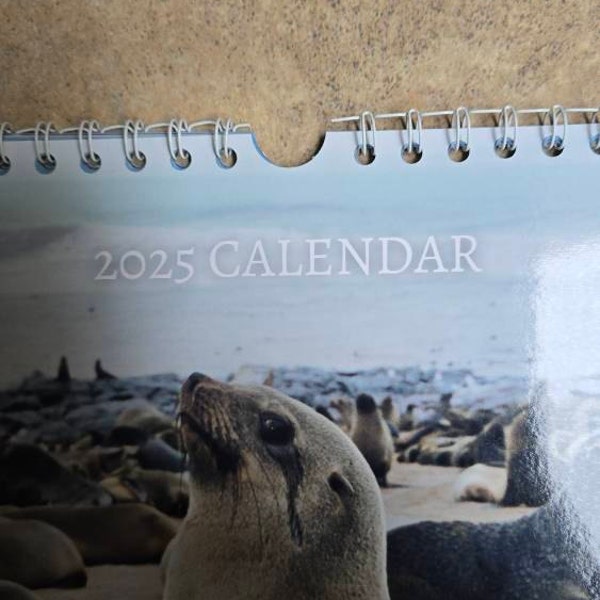 Beagle Calendar 2025 Mini Desk Calendar, Beagle Calendar 20252026