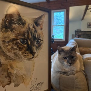 Dilara added a photo of their purchase