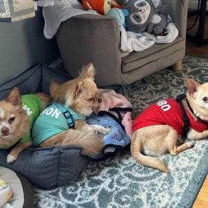 Reggie added a photo of their purchase