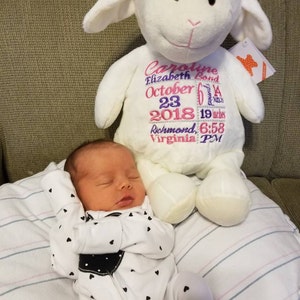 Birth Announcement Stuffed Animal Embroidered Stuffed Animal - Etsy