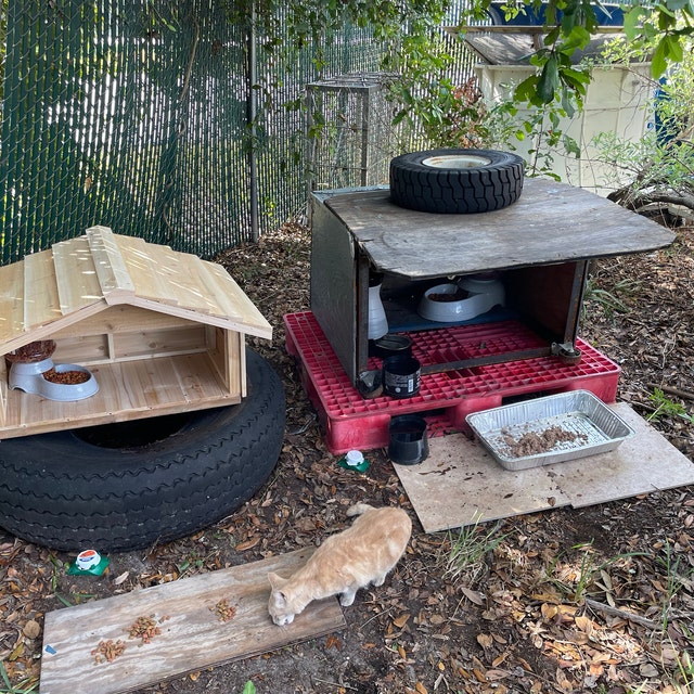 Medium Outdoor Cedar Cat or Dog Feeding Station - 228-UC-OCFS130