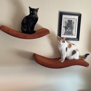 Cindy added a photo of their purchase