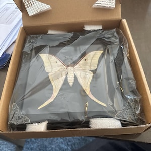Dani added a photo of their purchase