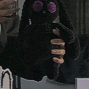 Diana added a photo of their purchase