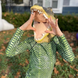 Crocodile costume 2024
