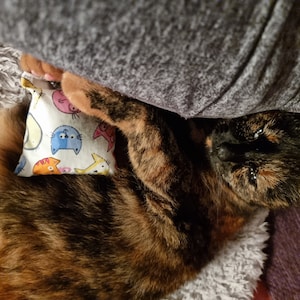 Olivia added a photo of their purchase