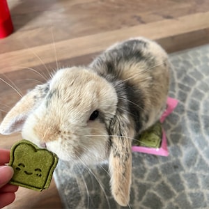 Erika added a photo of their purchase