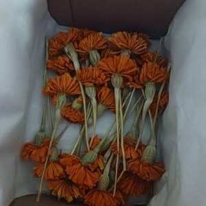 Gina added a photo of their purchase