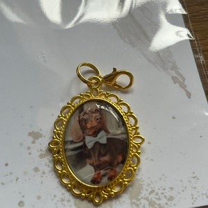 Emma added a photo of their purchase