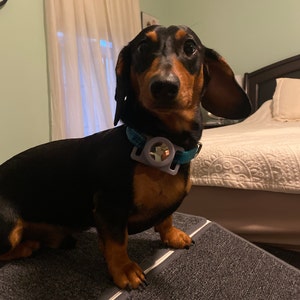 Mo added a photo of their purchase