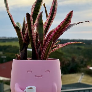 Laurie added a photo of their purchase
