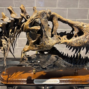 手作りのT-Rexの頭蓋骨化石レプリカ - 博物館品質の恐竜彫刻 - Etsy 日本