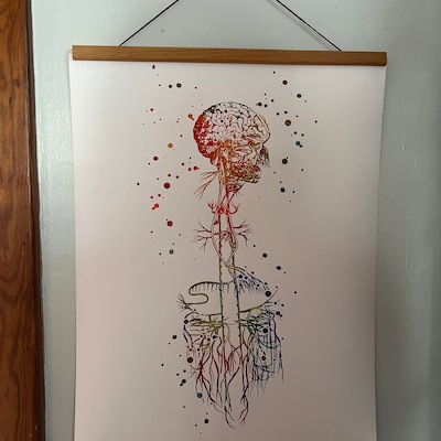 Neuroanatomy Art Print Brain Anatomy Cross Section - Etsy