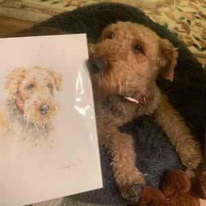 Ben added a photo of their purchase