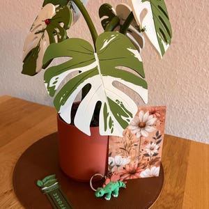 Aleksandra hat ein Foto des gekauften Artikels hinzugefügt