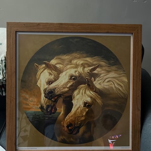 heather added a photo of their purchase