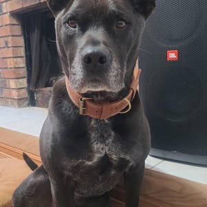 ANGEL heeft een foto van de aankoop toegevoegd