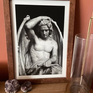 Dani added a photo of their purchase