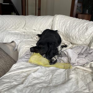 Amy ha añadido una foto de su compra