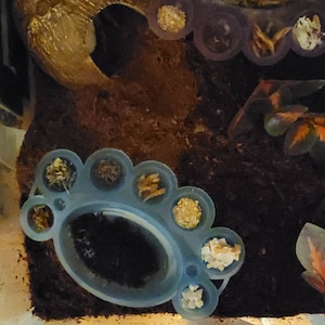 Gray added a photo of their purchase