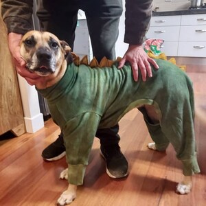 Lara added a photo of their purchase