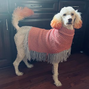 簡単なかぎ針編みの犬用ポンチョのパターン：XXS-2XL（PDFパターン