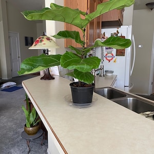 Marty added a photo of their purchase