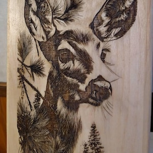 NANCY added a photo of their purchase