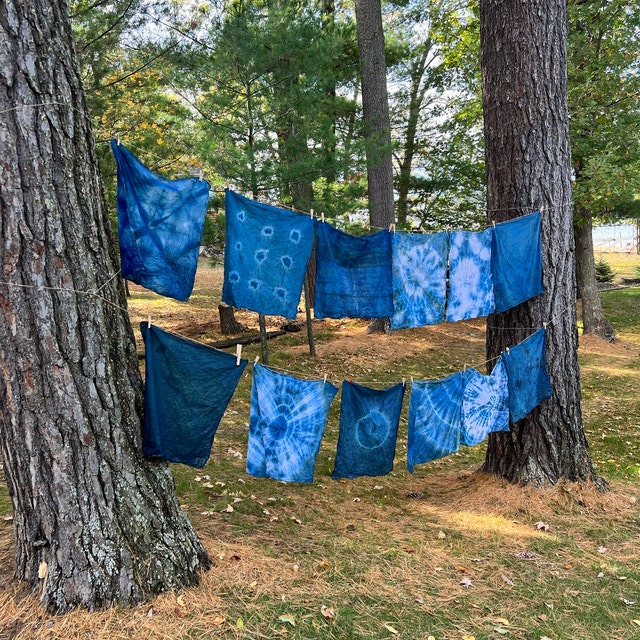 Blue Gold: What Is Indigo Dye And Why Is It Good For The Environment?