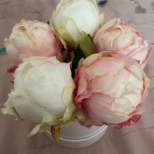 Minow added a photo of their purchase