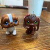 PET SHOP JUMBO #5 - CHAT - SHORTHAIR - HASBRO grand chat petshop