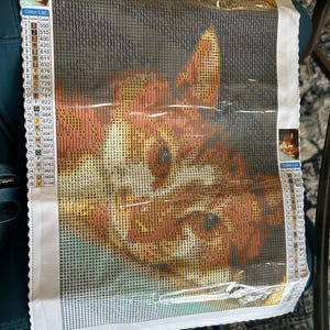 Chaylee added a photo of their purchase