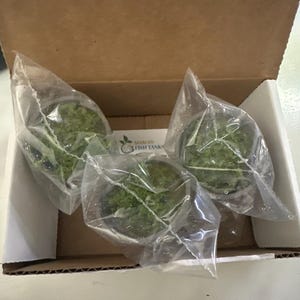 Oscar added a photo of their purchase