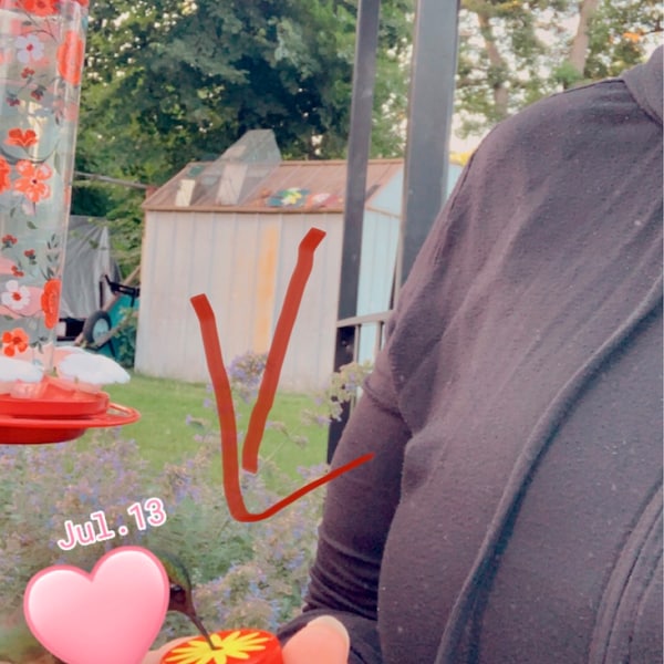 Trio of Hum-button™, Mini Hand Held Hummingbird Feeders New Style 2017 ...