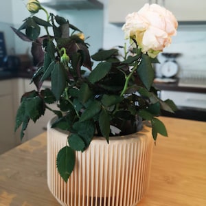 Odile added a photo of their purchase