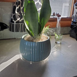 Sarah added a photo of their purchase