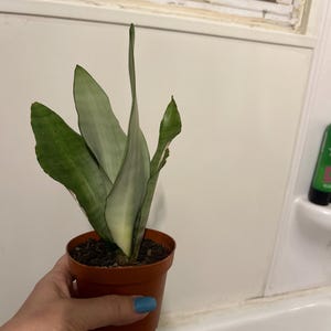 Denise added a photo of their purchase