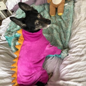 Yvette added a photo of their purchase