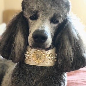 poodleit collar
