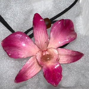 Daisy added a photo of their purchase
