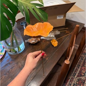 Amelia ha añadido una foto de su compra